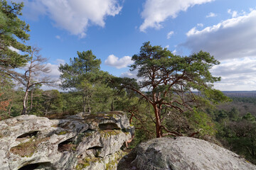 Fototapeta na wymiar Hill of the Dame Jouanne rock in the french Gatinais regional Nature park