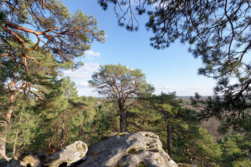 Hill of the Dame Jouanne rock in the french Gatinais regional Nature park