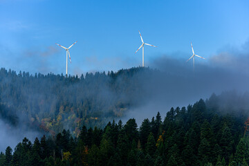 Windenergieerzeugung auf den Schwarzwald-Höhen - obrazy, fototapety, plakaty