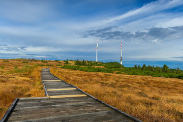 Hornisgrinde - Pfad &uuml;ber das Hochmoor