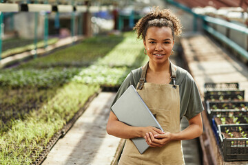 Pretty young African American female farmer or woner oh large hothouse with laptop standing against long tables with seedlings - obrazy, fototapety, plakaty
