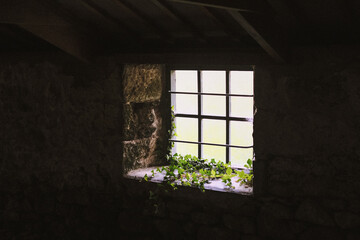 Cottage barn window