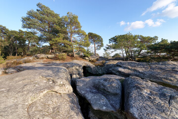 Hill of the Dame Jouanne rock in the french Gatinais regional Nature park