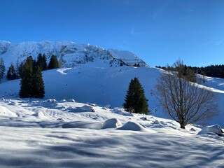 Fototapeta na wymiar Picturesque winter alpine landscape with alpine peaks, hills, forests and pastures covered with deep fresh snow - Appenzell Alps massif, Switzerland (Schweiz)