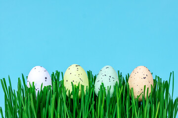 Easter eggs in fresh green grass on a blue background. Place for text.