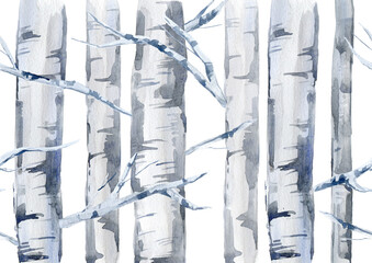 Seamless border of a birch tree.Deciduous tree.Watercolor hand drawn illustration.White background.
