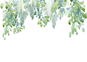 Birch tree.Deciduous tree.Watercolor hand drawn illustration.White background. - 486952662