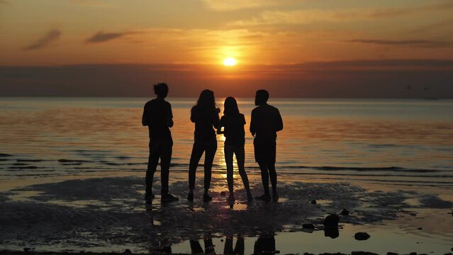 Back view silhouettes of four young friends standing by sea on beach, admiring beautiful orange sunset over water, talking and toasting with beer bottles