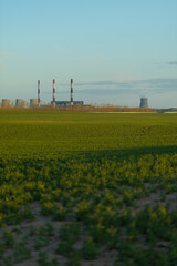 Summer landscape, green field and in the distance there are CHP 