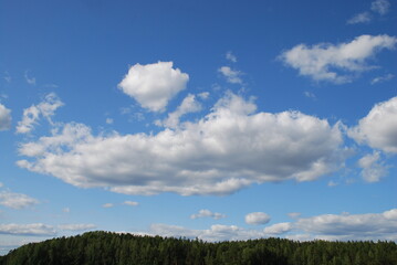 Fototapeta premium White-gray clouds over the forest. In the rays of the sun, large cumulus white-gray clouds majestically float across the light blue sky. They spread out over the forest, their forms are varied.