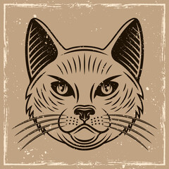 Cat head vector illustration in vintage style on background with removable grunge textures