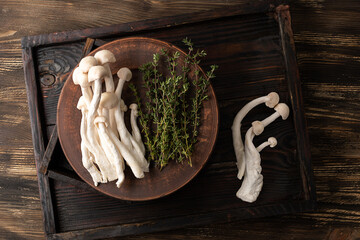 White shimeji raw edible mushrooms and thyme.