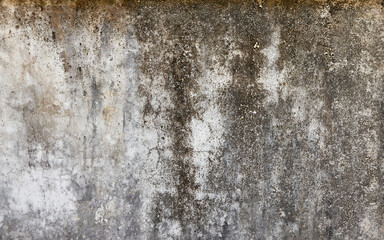 Abstract gray texture of old wall