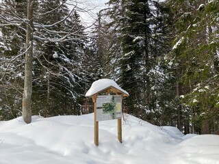 Alpine forest trails in a typical winter environment and under deep fresh snow cover - Appenzell Alps massif, Switzerland (Schweiz)