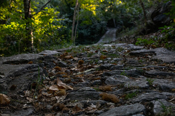 Via Francigena