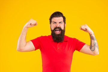 Naklejka premium successful hipster male with beard on yellow background, success