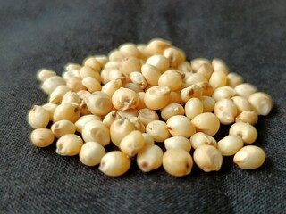 Sourghum seeds or jawar crop field seeds in farmers, 