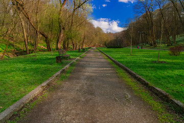 Fototapeta na wymiar symmetry ground track road in vibrant landscape scenic view of the park spring time vivid colorful environment space for early April month