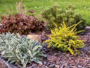 Mixborder with different plants