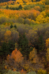 Wonderful lake view in the autumn forest. Reflection. Selective focus. High quality photo Ankara, Cubuk, Karagol