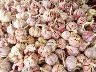 Close up of garlic bulbs at market stand in Rabat, Morocco.