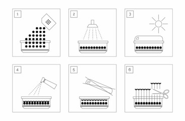 Set with vector instruction info graphic microgreens. Information line icon infographic. Document concept. White background. Outline simple illustration.