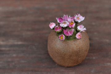 Bouquet of daisies  in a vase with kiwi isolated on a wooden background .Place for text.Horizontal photo. Without people. First Spring daisies. Spring still life. Delicate flowers. 