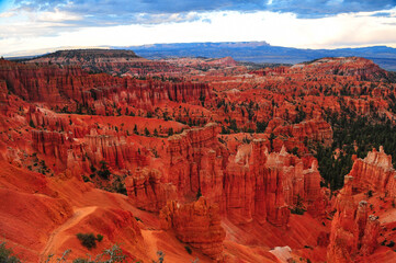 Late afternoon view of the sandstone spires of Bryce Canyon National Park, Utah, Southwest USA