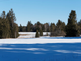 Schneebedeckten und Idyllischen Naturlandschaftsraum von Kirchseemoos bei Sachsenkam und Bad-Tolz,...