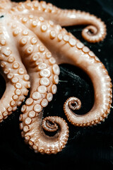 Raw big octopus before being cooked © Toni
