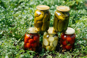 Canned vegetables in cans are in the middle of the garden. Harvesting and preparing supplies for the winter..