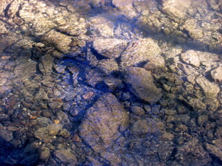 Beautiful bottom of a clean river