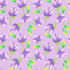 Spring floral pattern with lilac pastel flowers and green leaves, summer flowers, botanical illustration, nature. Floral pattern in hand-made style for fabrics, clothes, postcards.