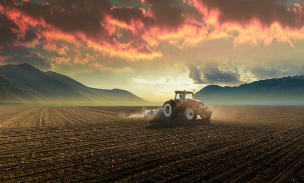 Fototapeta Farmer with tractor seeding