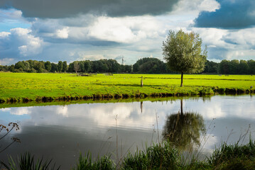 Fototapeta na wymiar Cloudy sky, trees canal green grass on Cronensteyn polder, Leiden, Netherlands