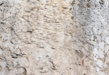 Rough concrete dirty fungus or mold texture background