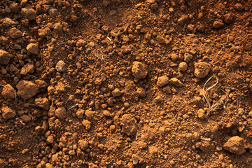 Mud Texture Image of soil