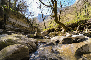 Fototapeta premium Nervión riverbed in the Delika canyon