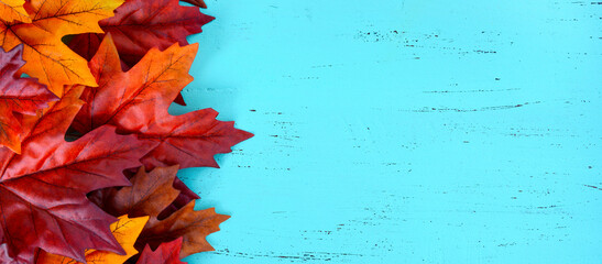 Autumn Fall rustic background on aqua blue vintage distressed wood with autumn leaves and...