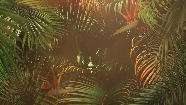 Sunset time with tropical trees in forest, motion promotion, summer and retro style background