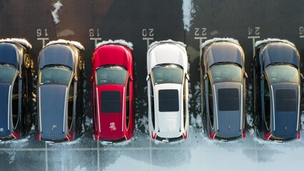 Aerial top down view of the car park of a car dealership or customs terminal with rows of new SUVs (crossovers)