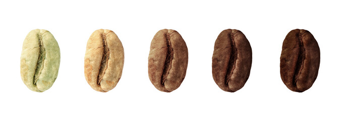 Stages of roasting coffee beans on white background, collage. Banner design