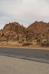 Joshua Tree Park, Californie