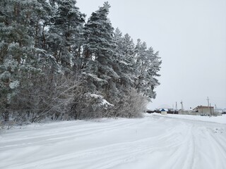 snow covered road,February morning,good winter morning