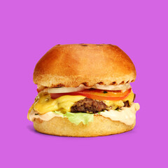 hamburger isolate on color background front view