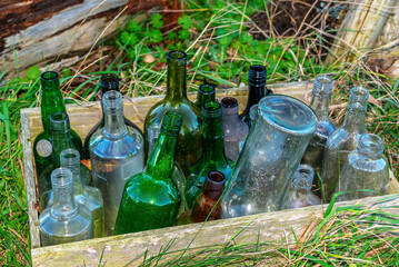 Forgotten empty bottles in a wooden box in the grass