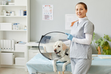 Young successful veterinarian in medical scrubs standing by table with sick labrador in collar...