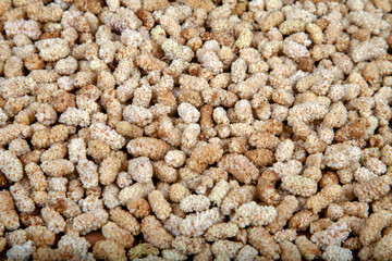 Heap of dried mulberry fruits,background and texture, top view