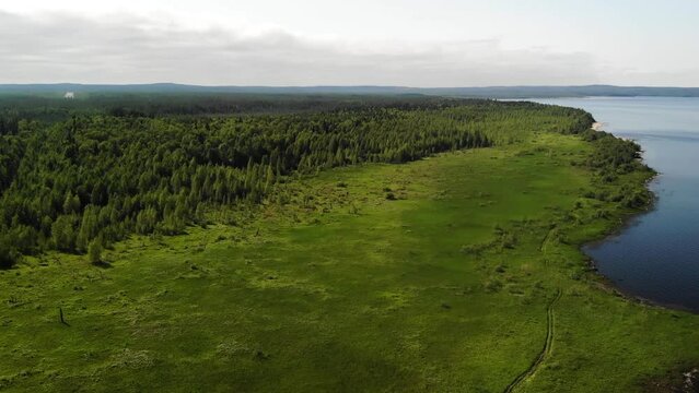 Aerial view of swamp and forest in Karelia