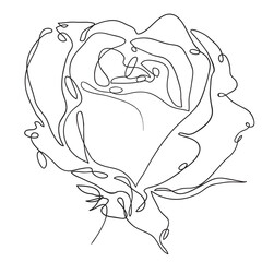 Vector hand drawn outline illustration of a stylized rose. Elegant floral element for invitation, label or fashion design.